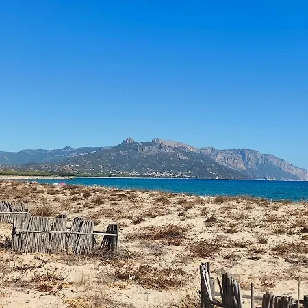 L'anfora Bianca *